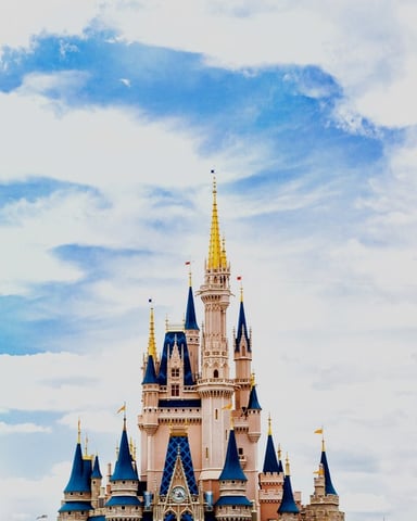Minutes from Disney, Universal, SeaWorld