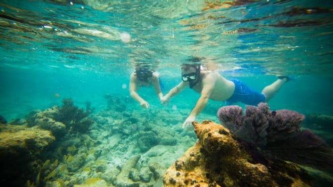 Ambergris Caye Belize Guide